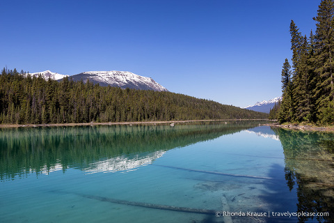 Valley of the Five Lakes Hike- Jasper National Park