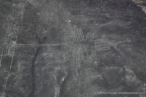 Nazca Lines Flight- Flying Over Peru's Mysterious Geoglyphs