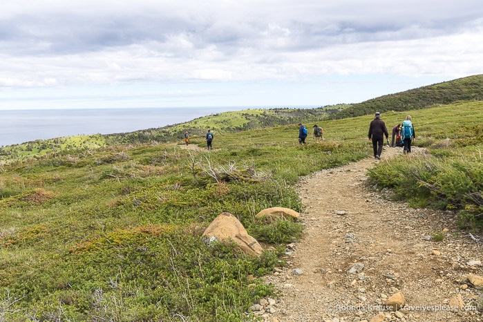 People hiking on Green Gardens Trail, one of the top things to do in Gros Morne National Park. 