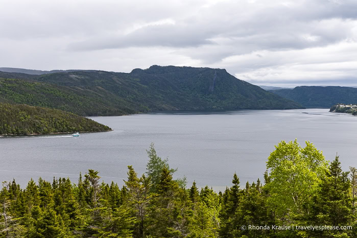 Forest covered mountains along Bonne Bay.