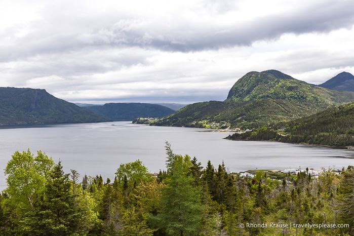 Tree covered hills framing Bonne Bay in Gros Morne National Park.