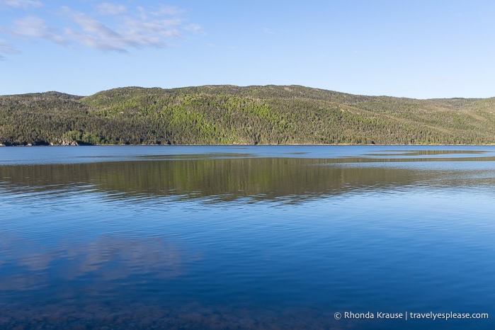 Forest covered mountains along Bonne Bay.