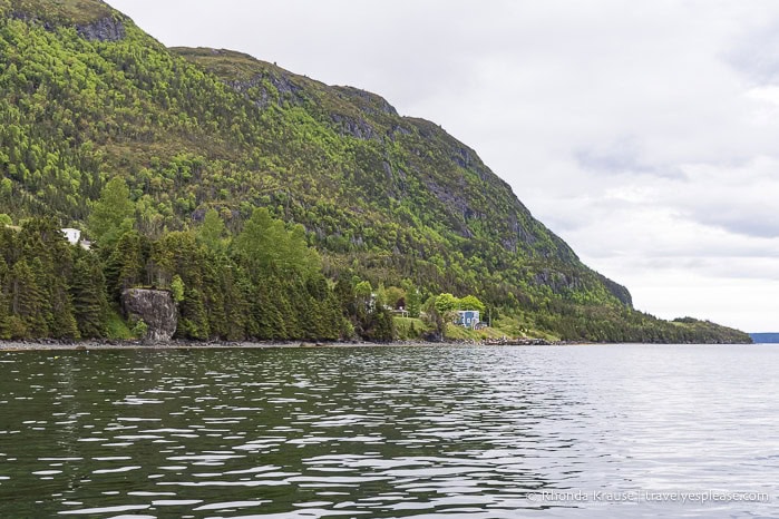 Forested cliffs on the shore of Bonne Bay.