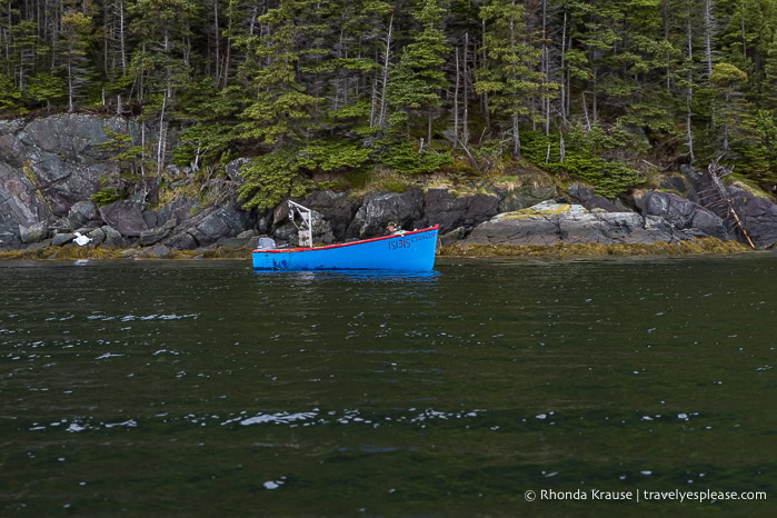 Small blue boat on Bonne Bay.