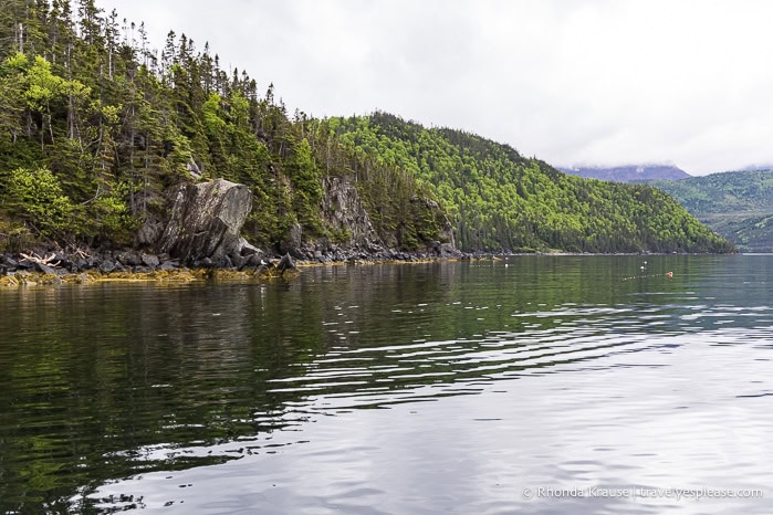 Forest covered mountains along Bonne Bay.