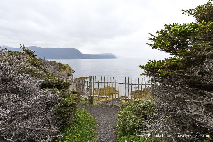 Viewpoint overlooking the ocean at the Lobster Cove Head Lighthouse.