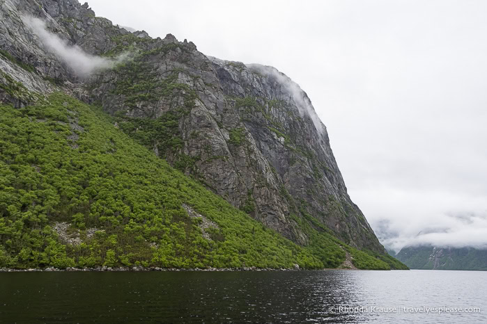 Cliff beside Western Brook Pond.