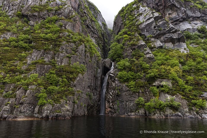 A waterfall seen on the Western Brook Pond tour, one of the best things to do in Gros Morne National Park.