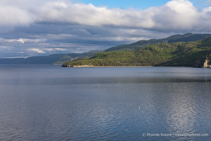 Forest covered mountains along Bonne Bay.