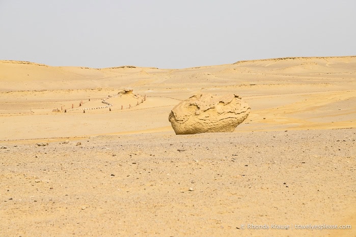 Rock and fossil display in the desert.