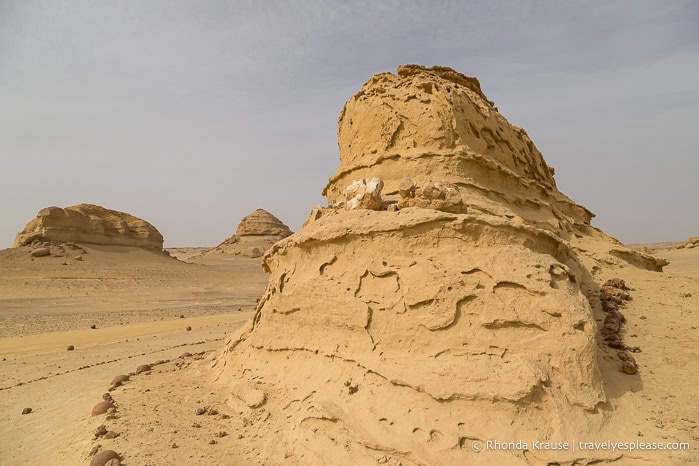 Rock formation with fossils in Whale Valley. 