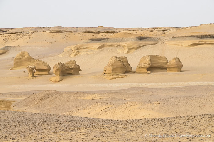 Rock formations in Wadi Al-Hitan.