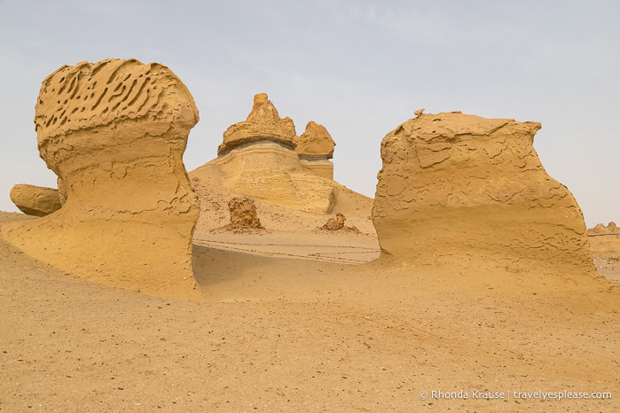 Rock formations in the desert.