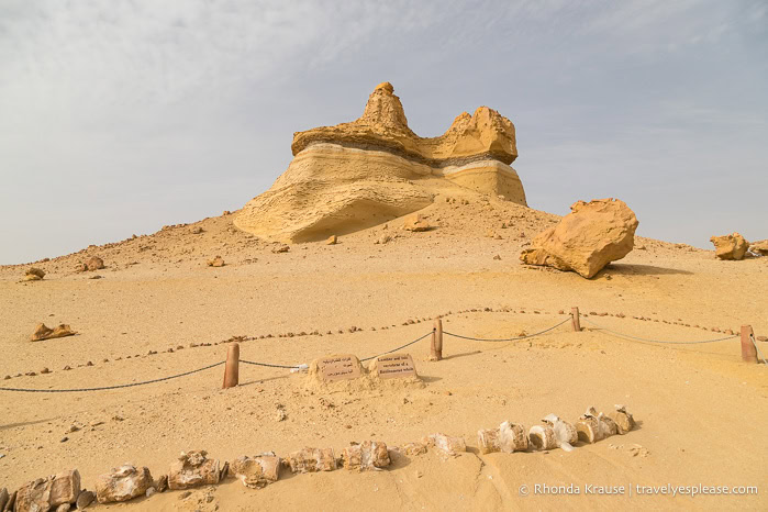 Rock formation and fossil display in Whale Valley.