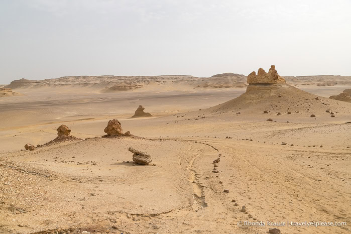 Landscape of Wadi Al-Hitan.