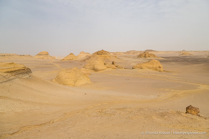 Landscape of Wadi Al-Hitan.