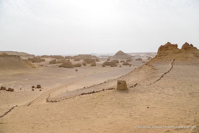 Path and rock formations in Whale Valley.