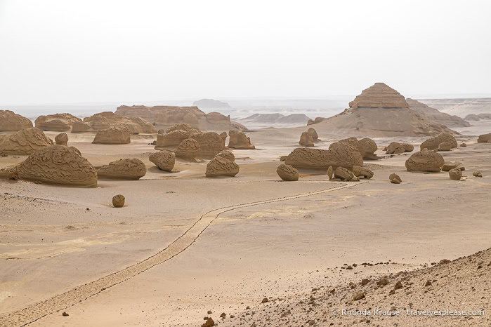 Rock formations in Whale Valley.