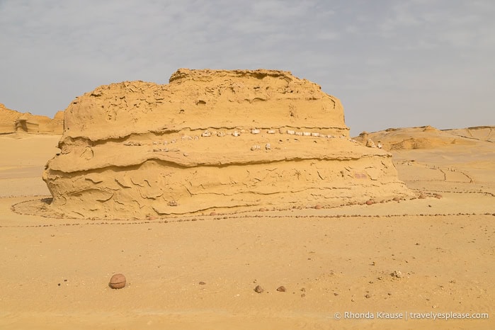 Rock formation with whale fossils on it.