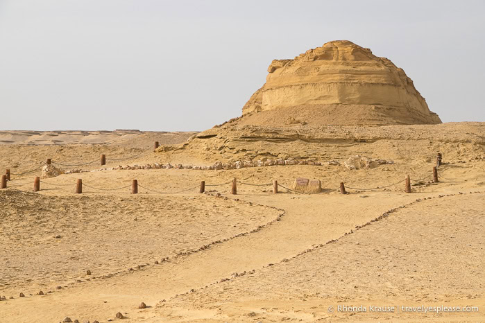 Whale fossil display in the desert at Wadi Al-Hitan.