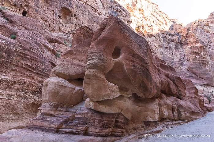 Rock formation that looks like an elephant in the Siq.