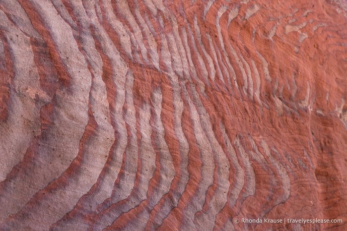 Wavy patterns in red rock.