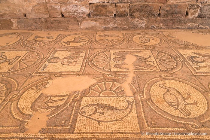 Floor mosaics.