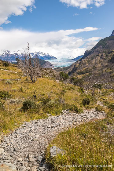 Trail leading to Grey Glacier.